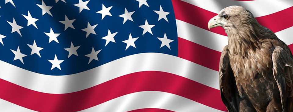 US Flag & Bald Eagle